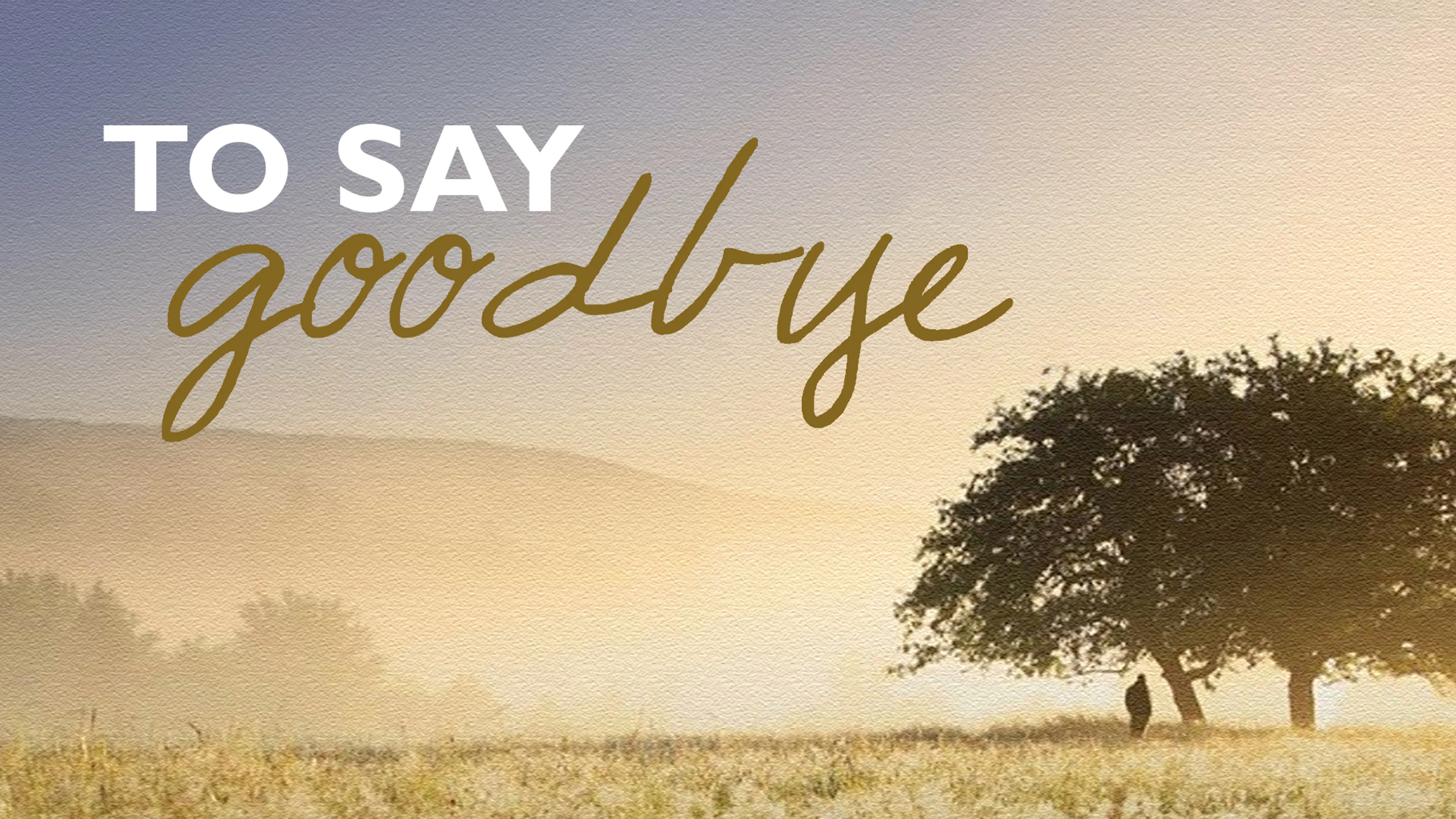 To Say Goodbye poster